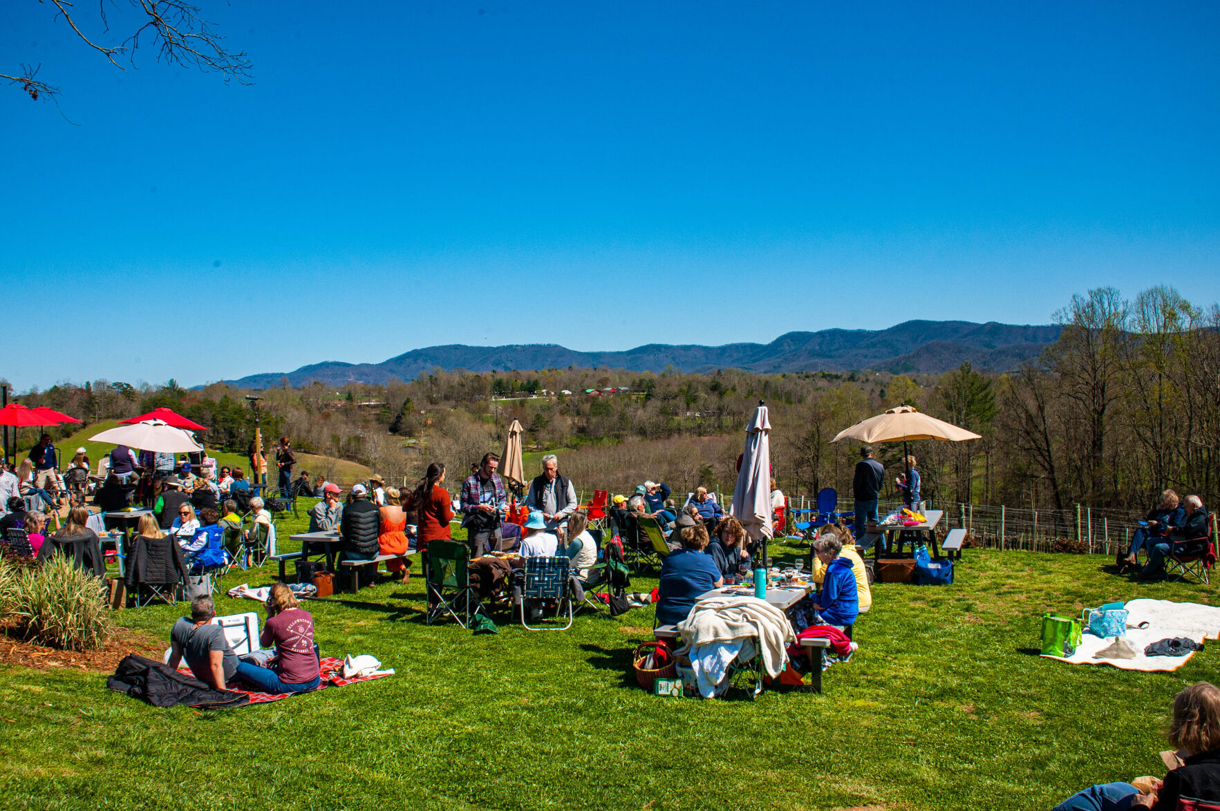 20210403-LEE_1816-Edit.jpg